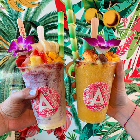 Amazonica Experience at Aventura Mall