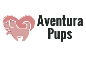 Aventura Pups